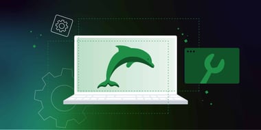 Ein Delphin auf einem Computerbildschirm, der zeigt, wie man den Fehler mysqladmin repair table behebt