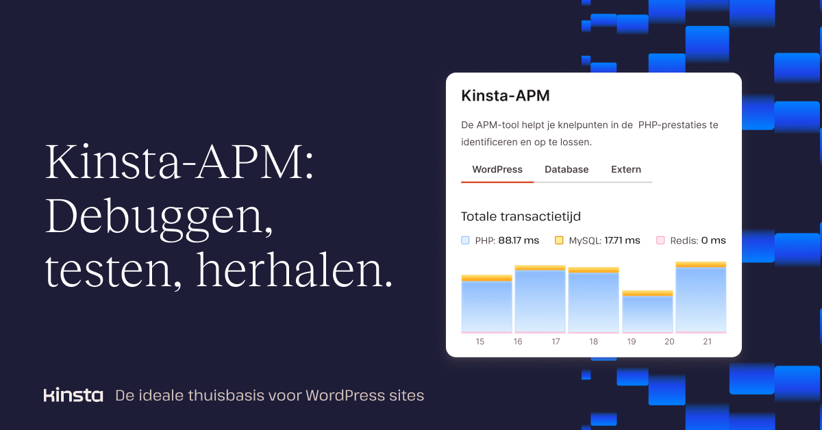 Kinsta APM